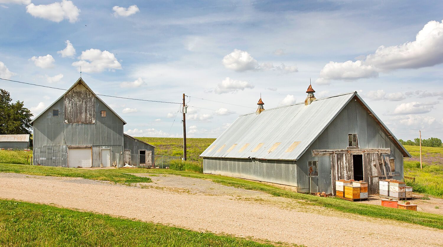 Suchan farm